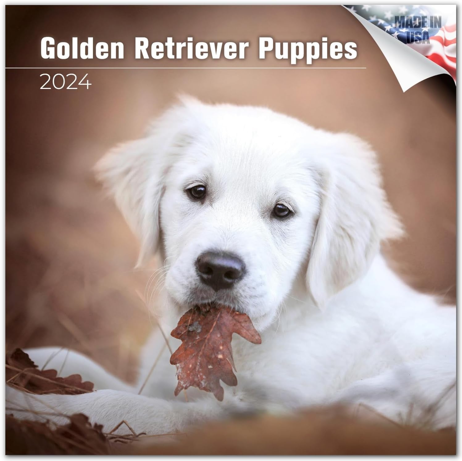 12 Adorable Golden Retriever Calendars For 2025