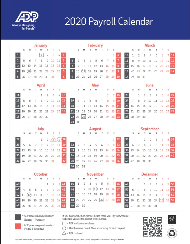 2025 Federal Government Pay Calendar Dates