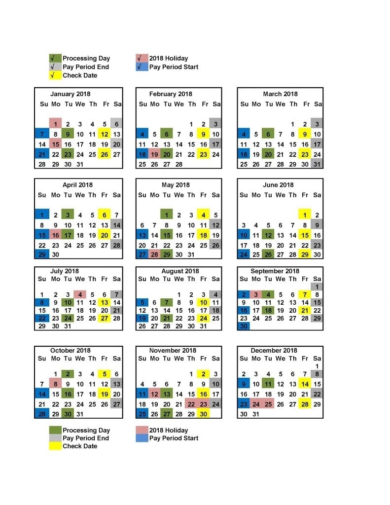 2025 Federal Pay Period Calendar: 12-Month Printable Guide