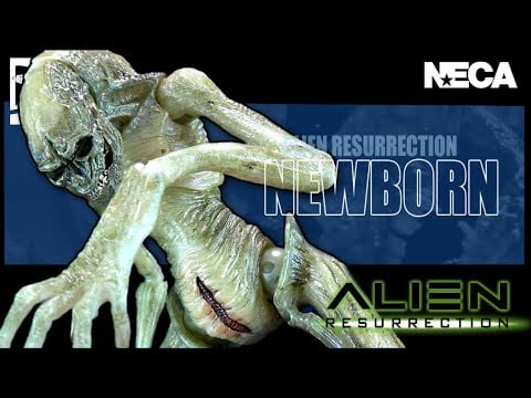 5 Horrifying Stages Of A Xenomorph Newborn