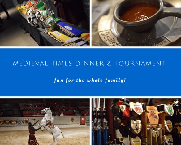 7 Ways To Experience Medieval Times Dinner Tournament