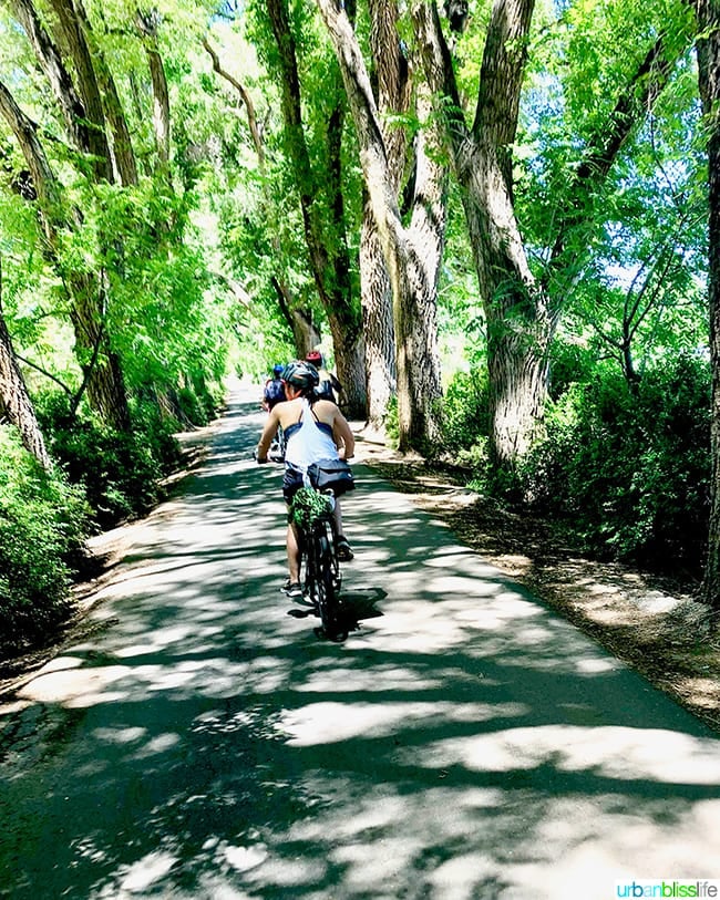 Albuquerque Bike-Friendly Streets