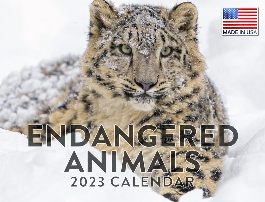 Animal Calendar 2025