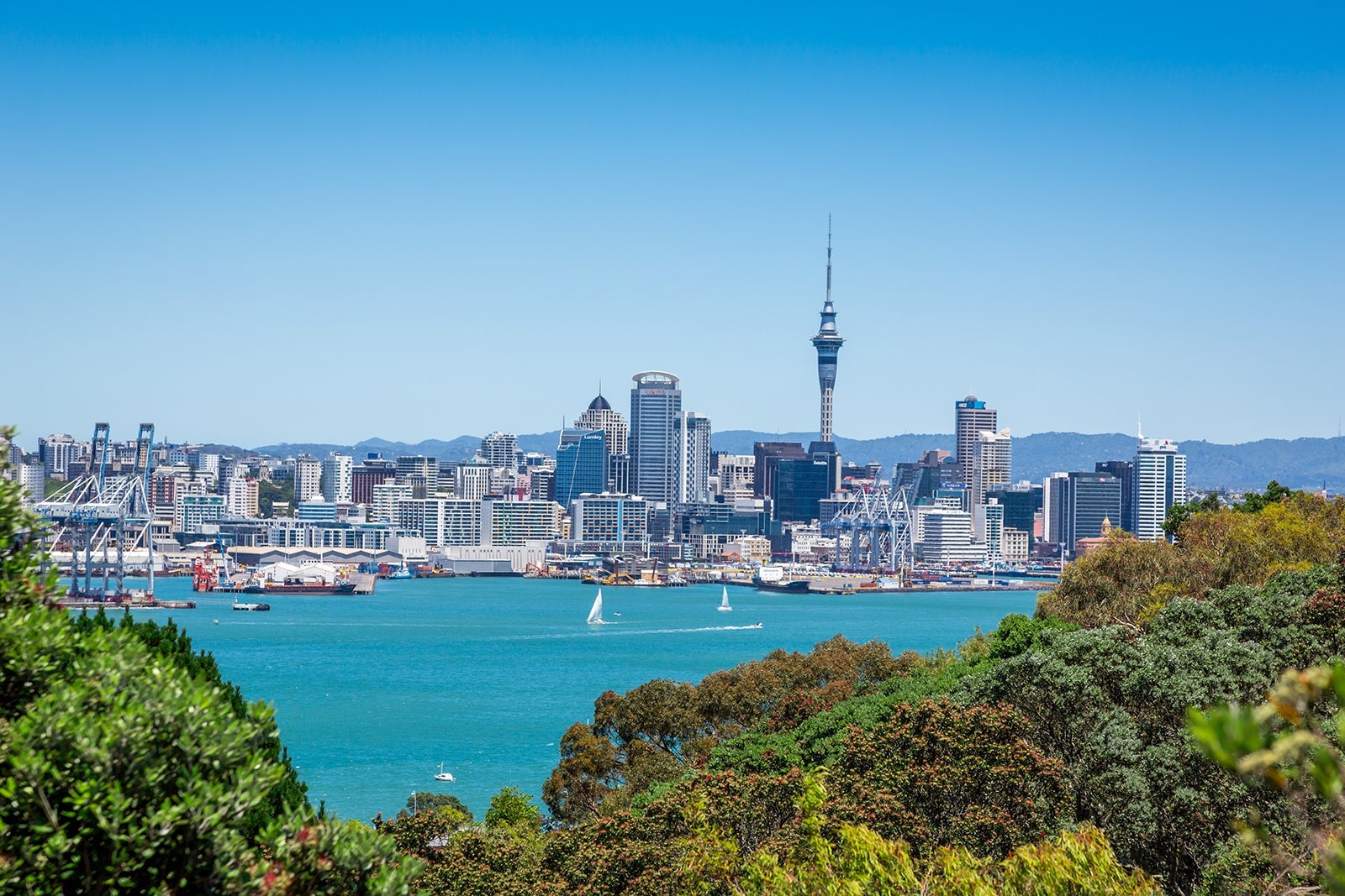 Auckland, New Zealand: The First to Celebrate