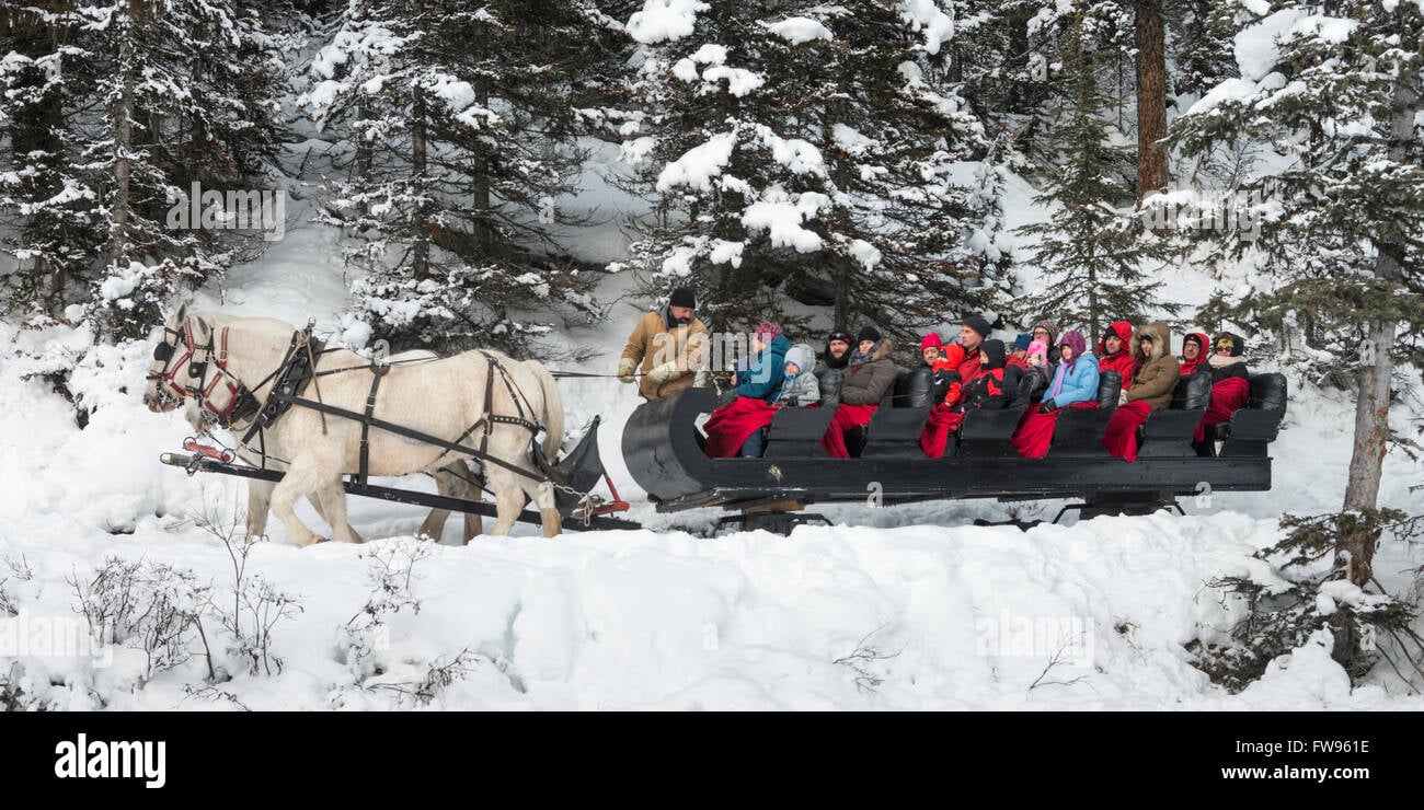 Horse-Drawn Sleigh Ride in Banff on New Year's Eve