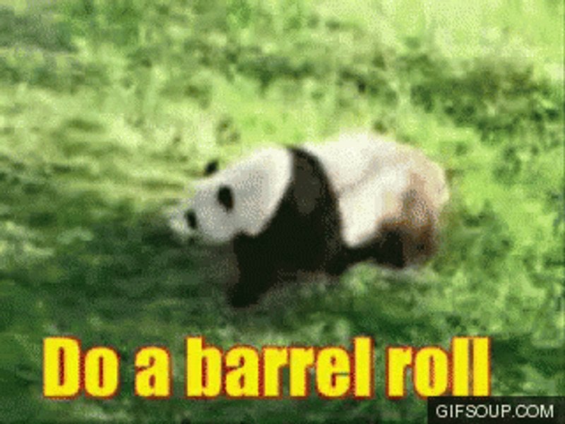 Barrel Roll GIF