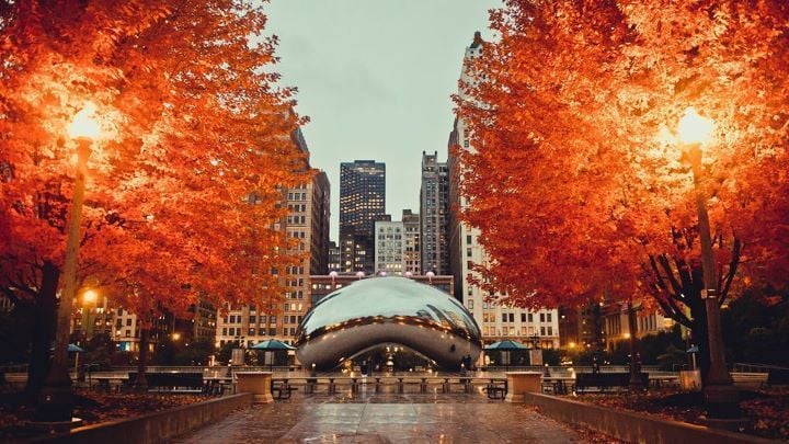 Chicago in the Fall