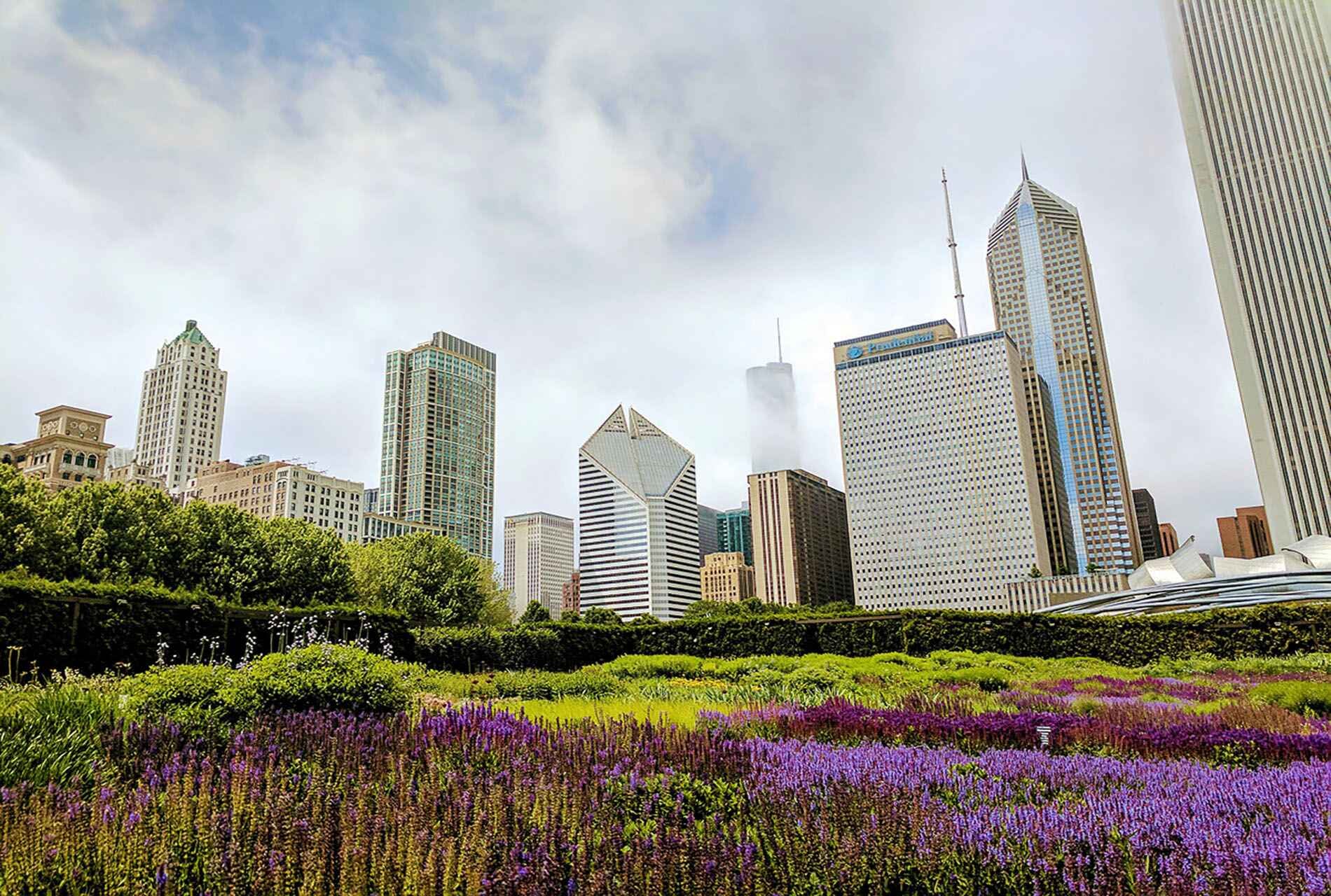 Chicago in the Spring