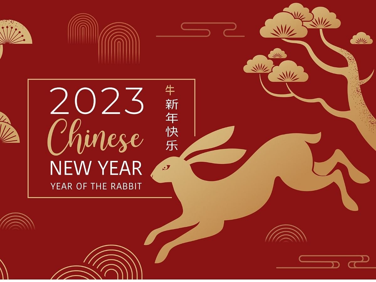 Chinese New Year 2023 Animal Revealed