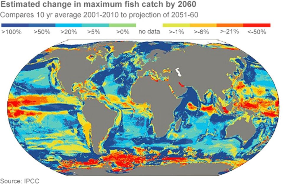 Climate Change Impact