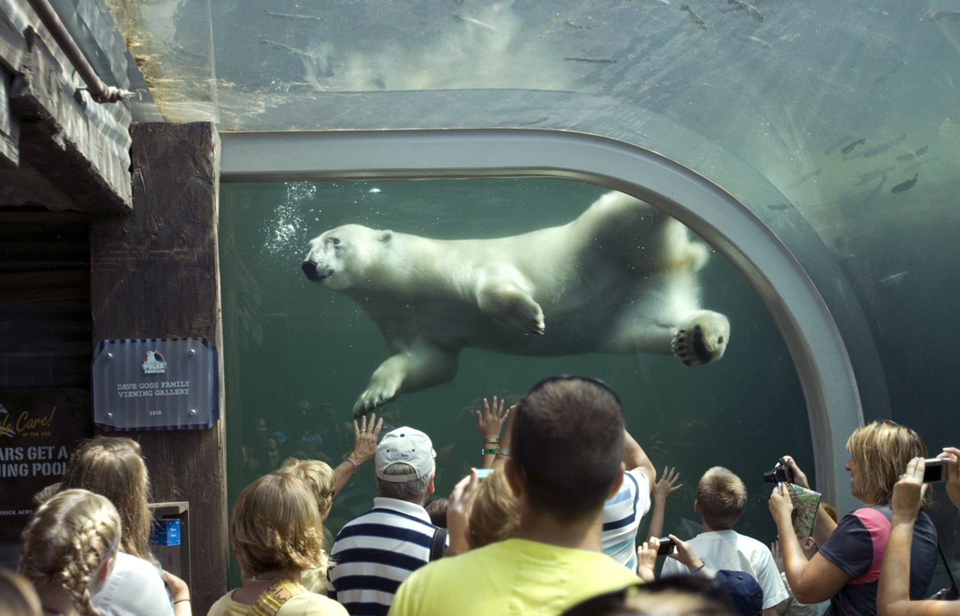 The Columbus Zoo and Aquarium