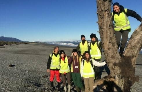 Conservation Efforts in New Zealand