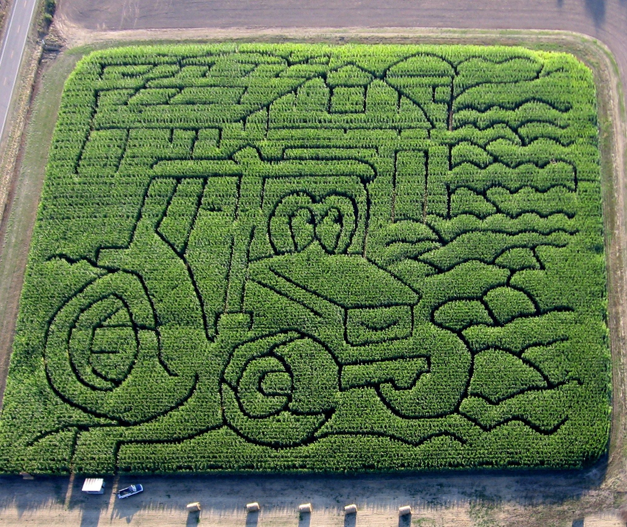 Corn Maze