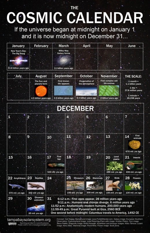 2025 Cosmic Calendar