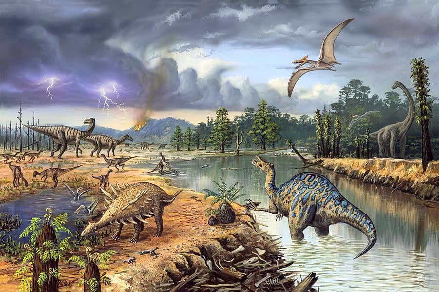 The Cretaceous Period: The Time of Flowering Plants and Modern Mammals