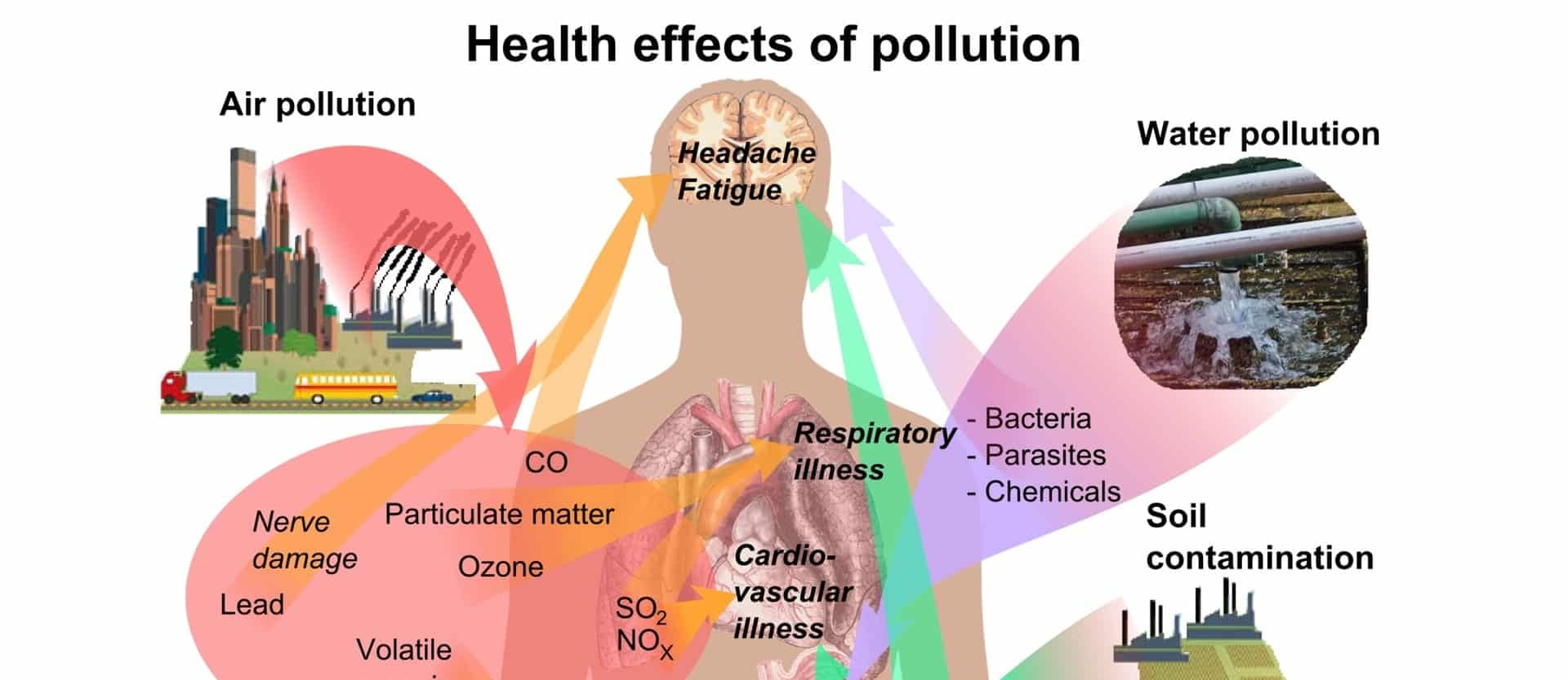 Dioxin Contamination in Times Beach