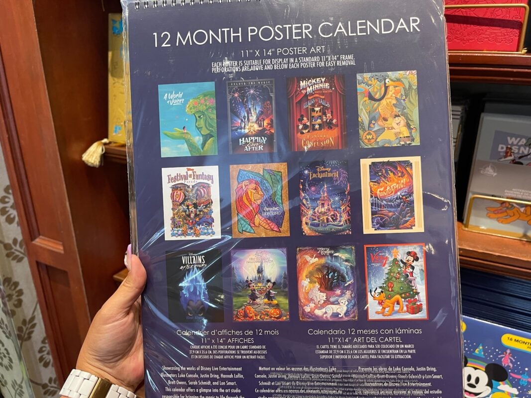 The Magic of Disney Posters