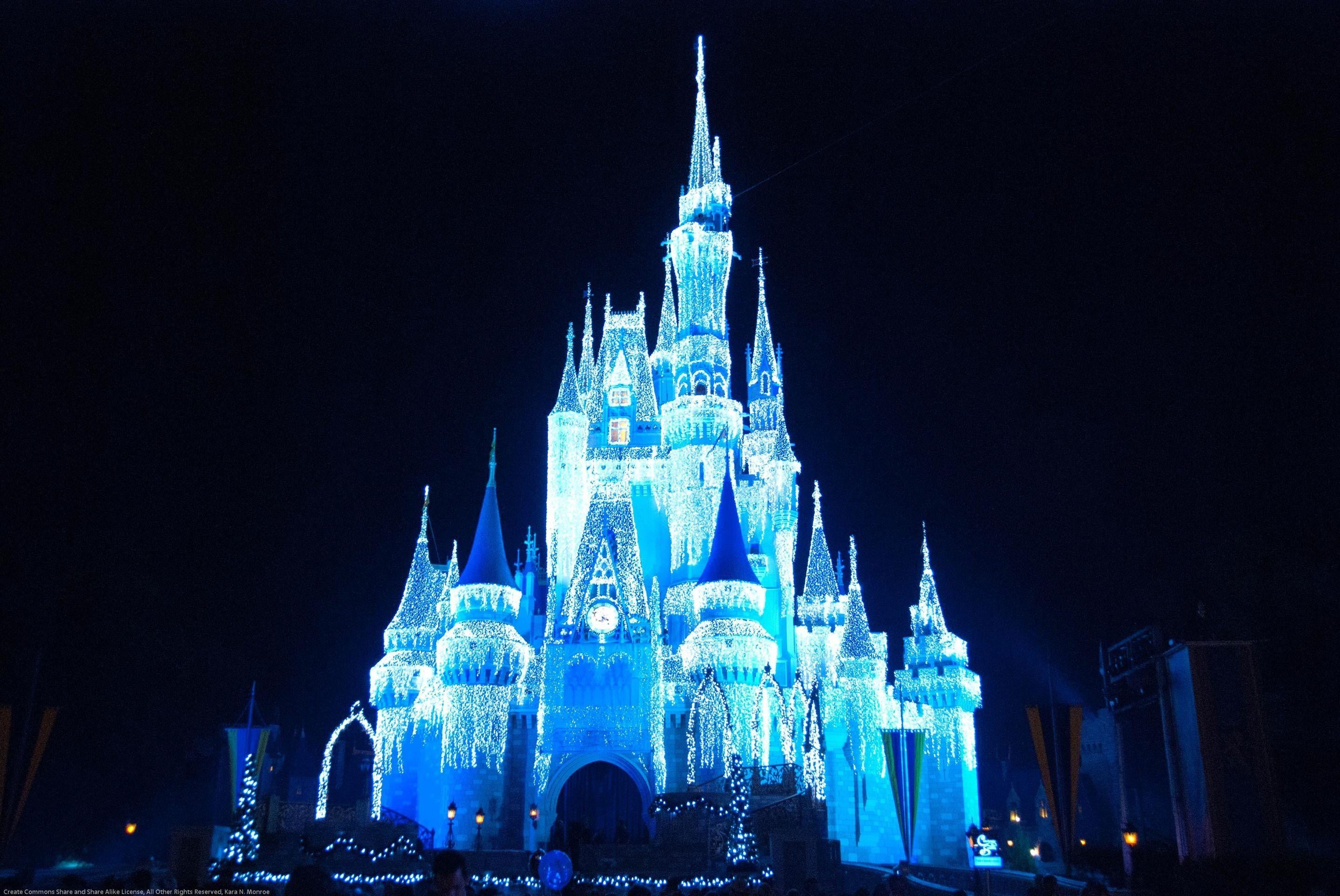 Winter at Disney World