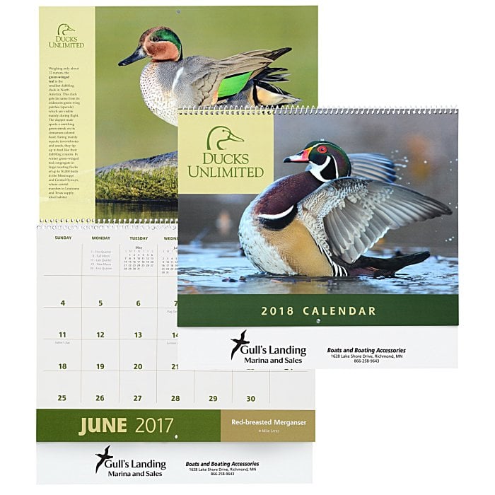 Ducks Unlimited 2025 Calendar