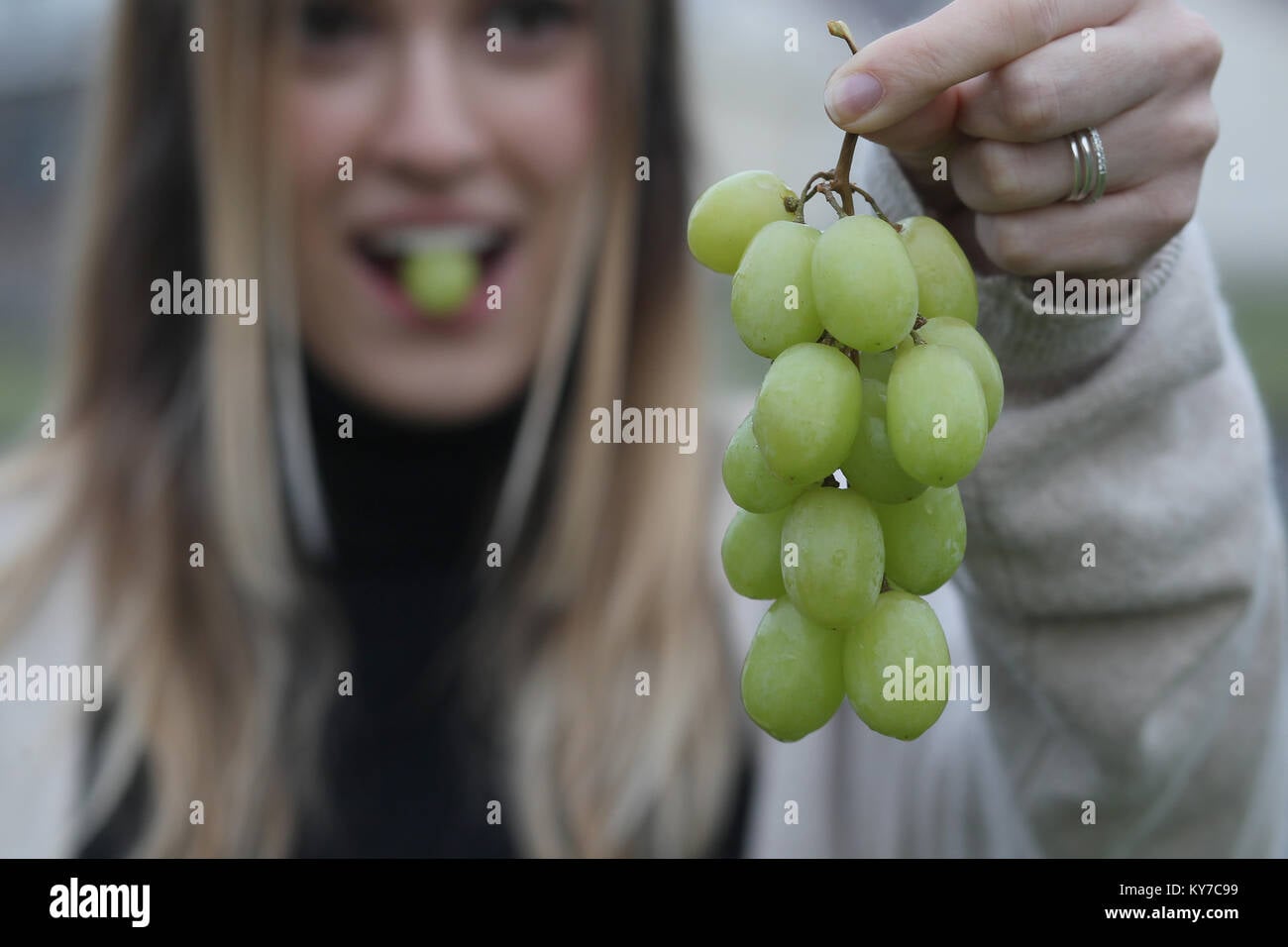 How to Eat Grapes on New Year's Eve