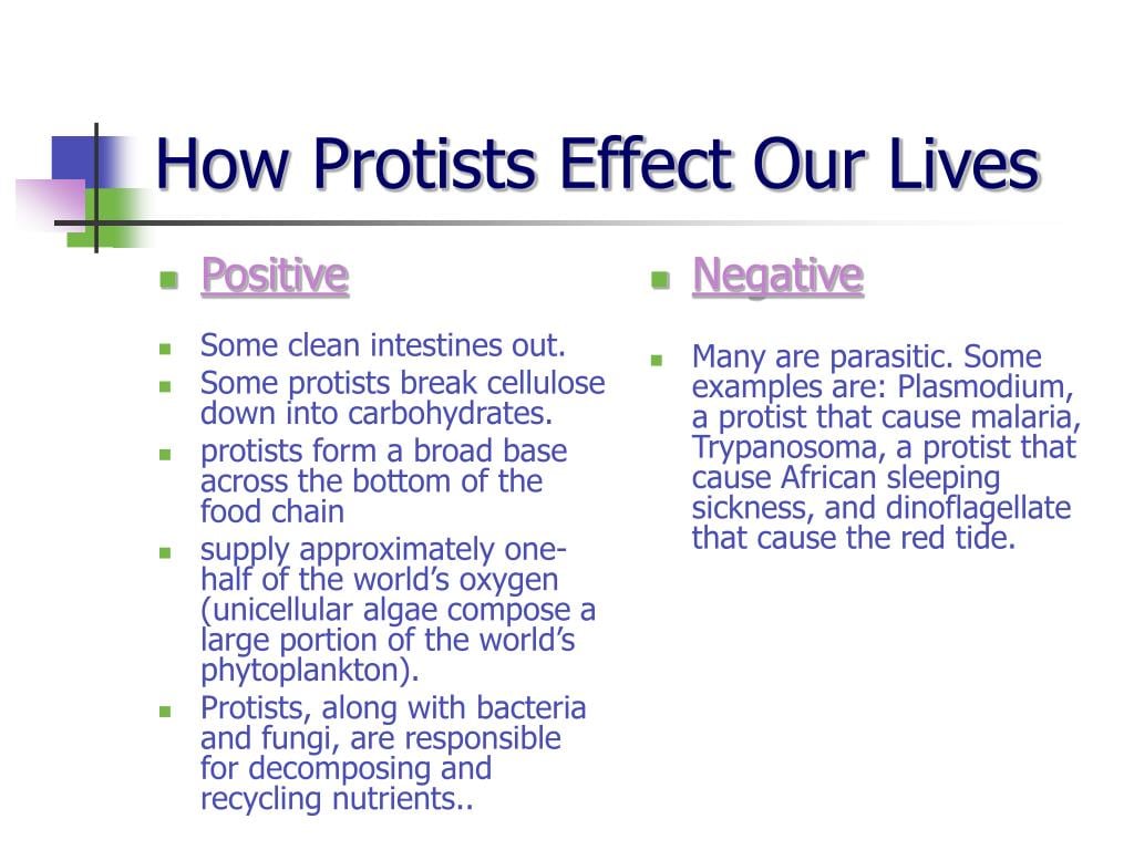 The Impact of 9pm ET on Our Lives