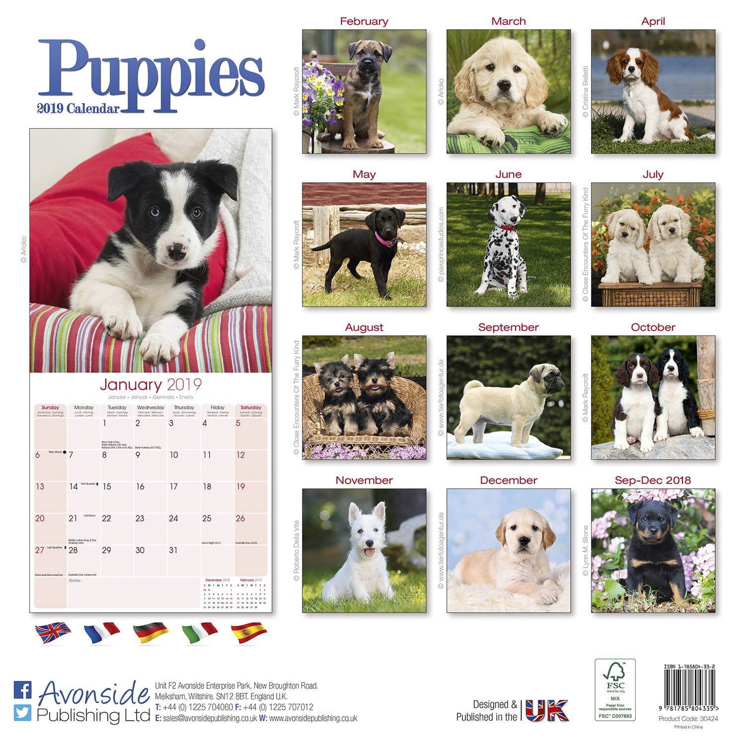 Enter To Win: Free Dog Calendar Contest 2025