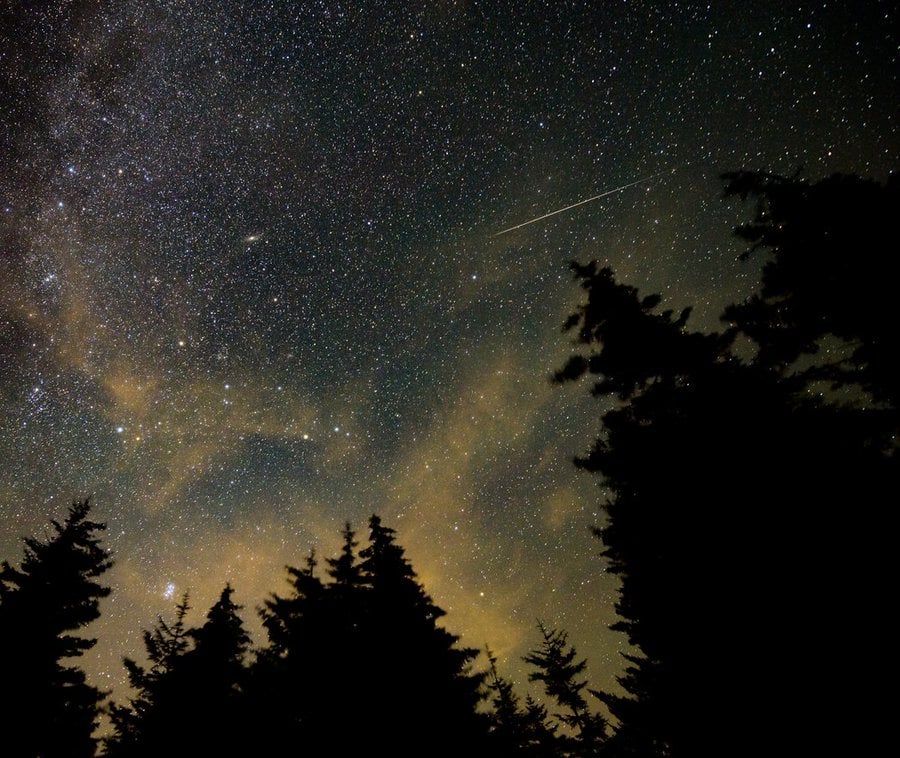 The Eta Aquariid meteor shower