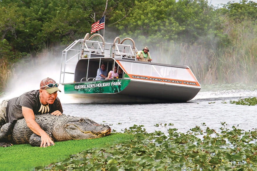 Take an Everglades Tour