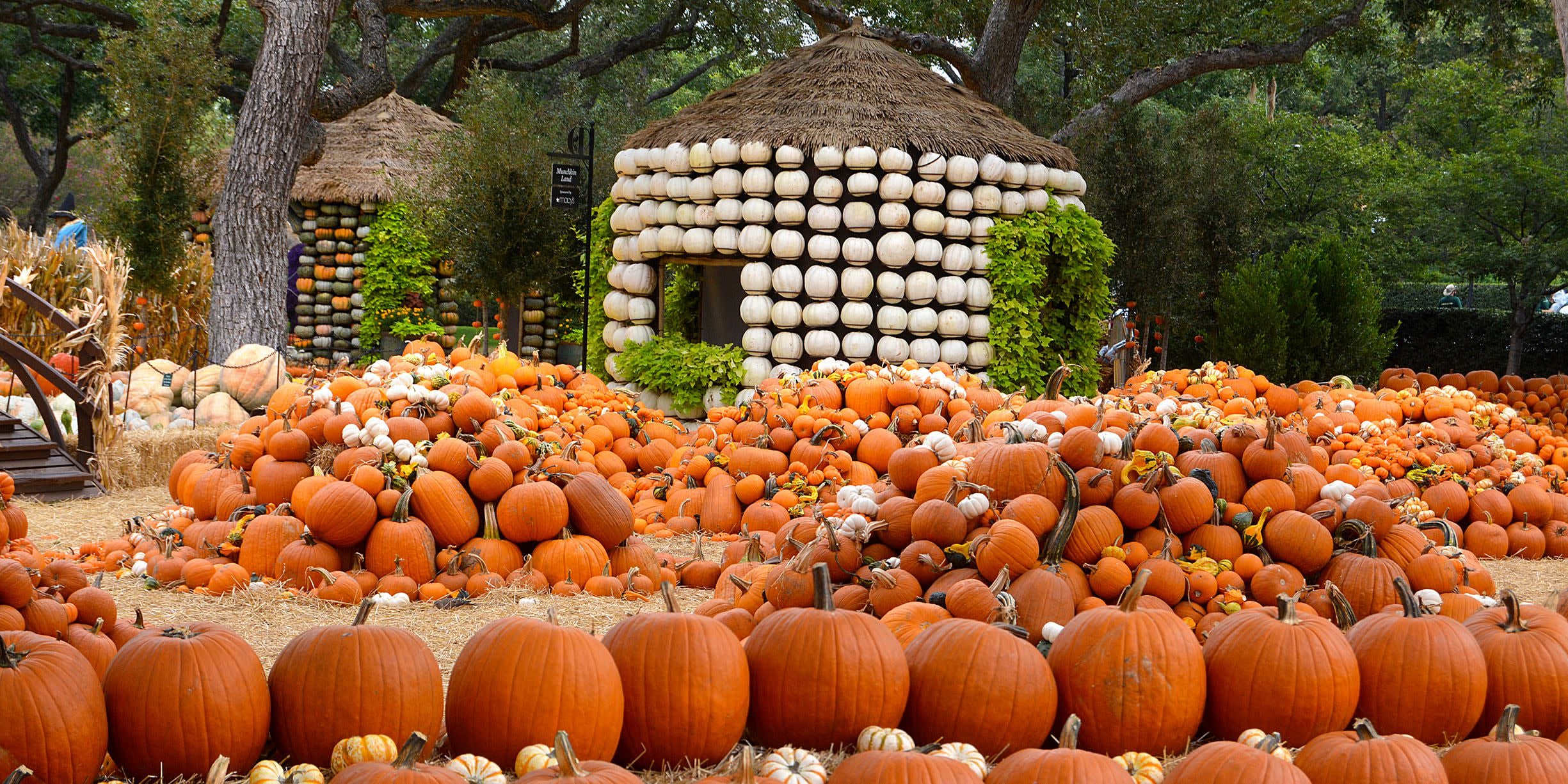 Fall Festival Essentials