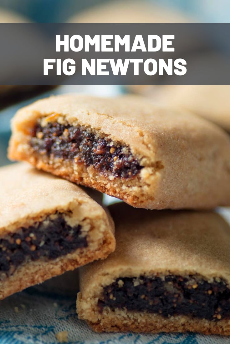 Fig Newton Costume Diy Guide