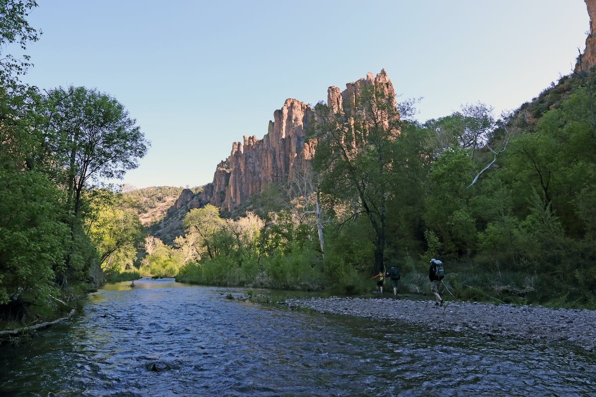 Gila National Forest