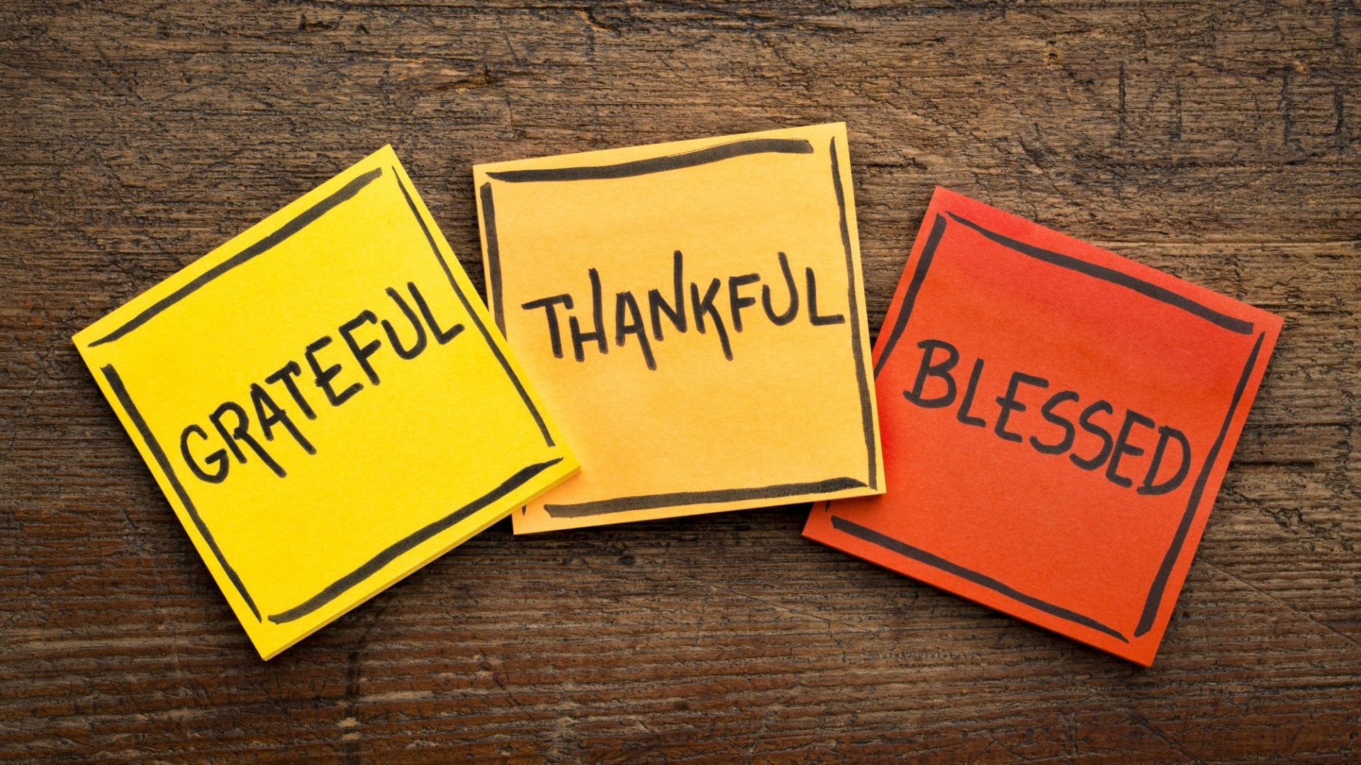 The Importance of Gratitude