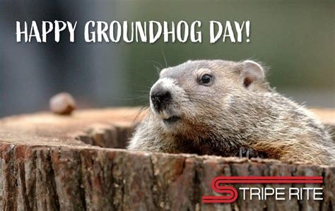 Groundhog Day