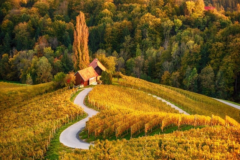 Harvest in Europe