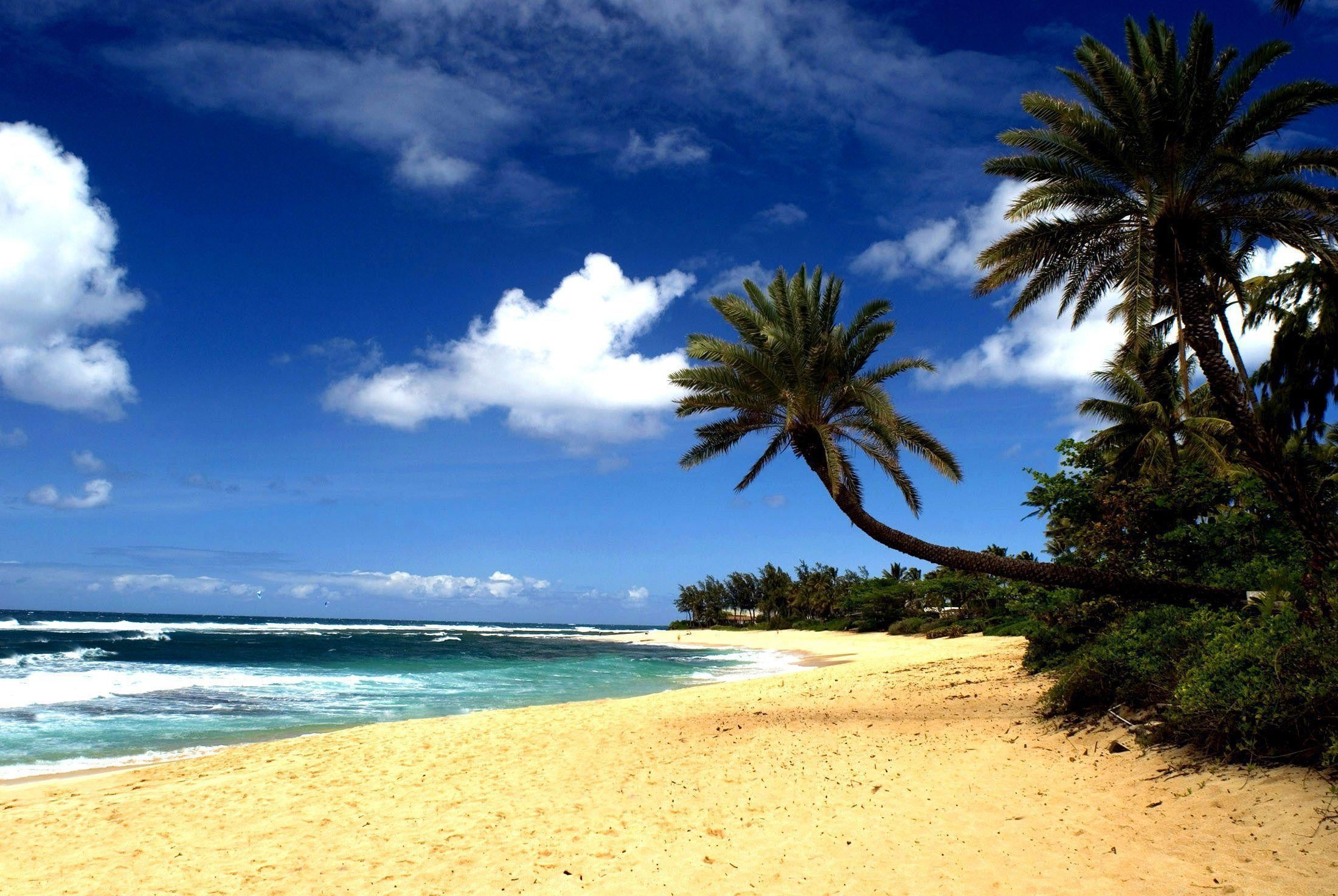 Hawaii Beach