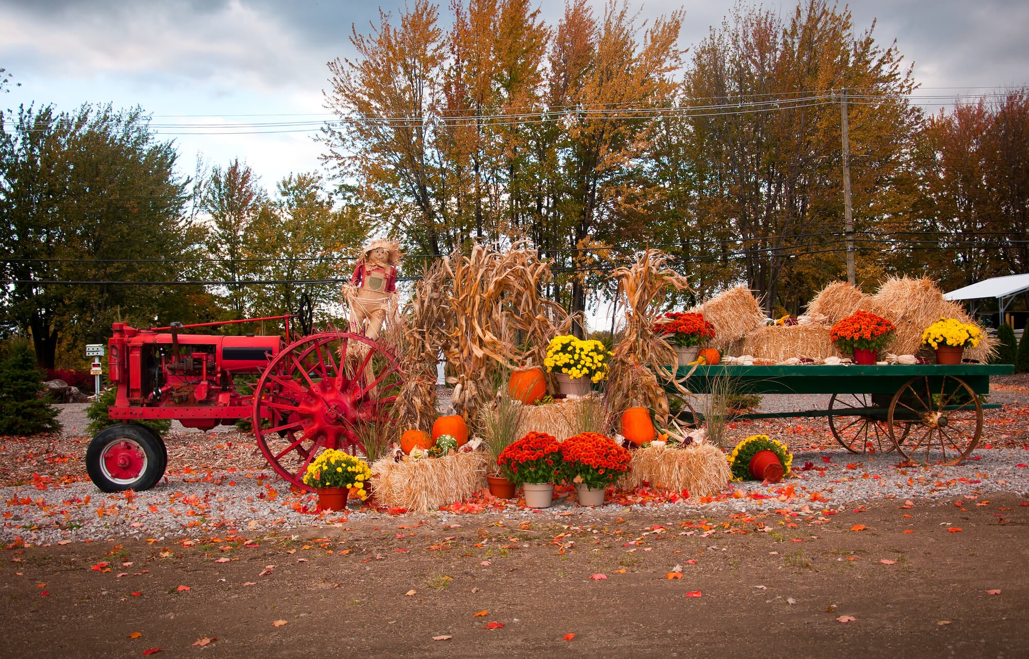 Hayride