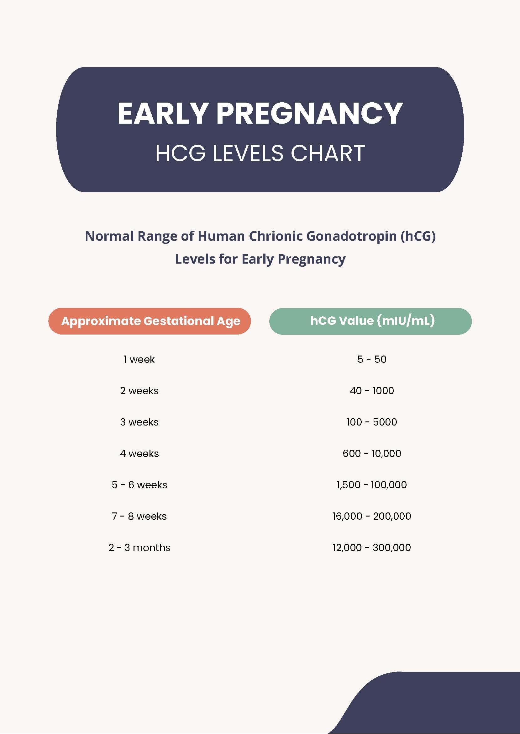 hCG Levels During Pregnancy