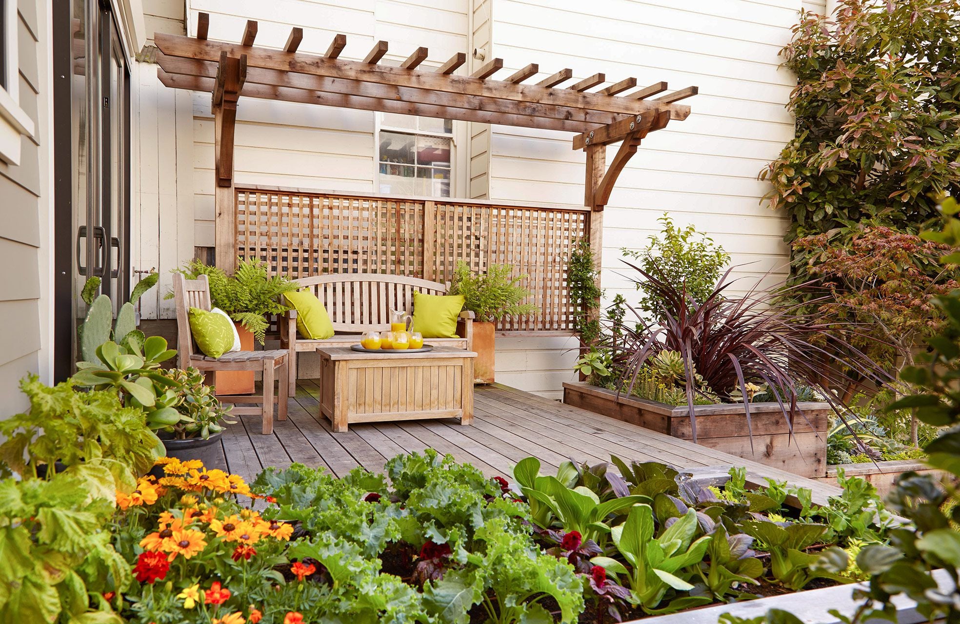 Create a home garden