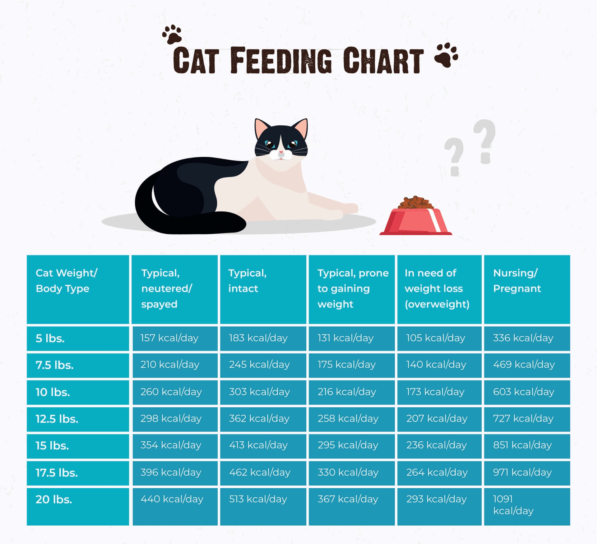 How Many Meals A Day For Cats