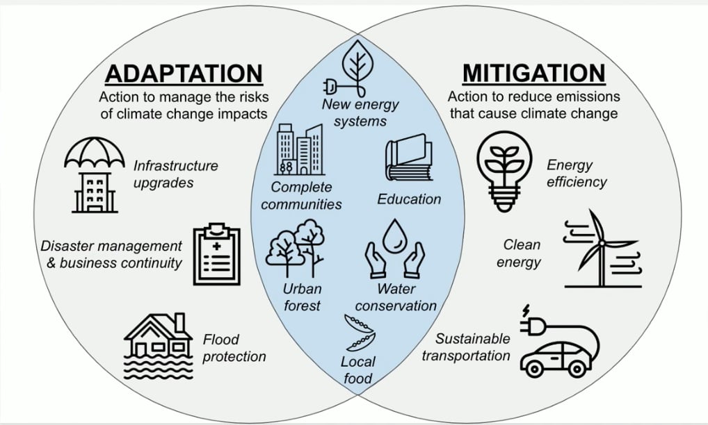 The Role of Individual Action in Addressing Climate Change