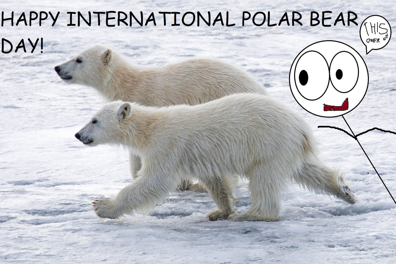 International Polar Bear Day