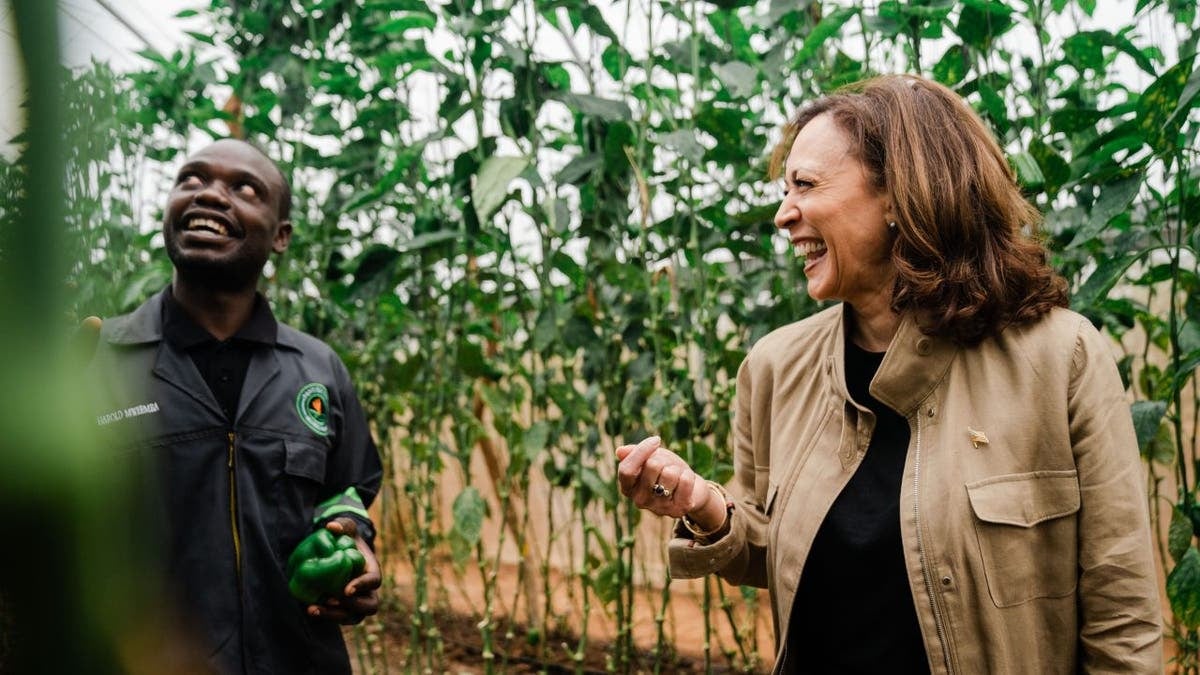 Kamala Harris on Climate Change and Environmental Policy