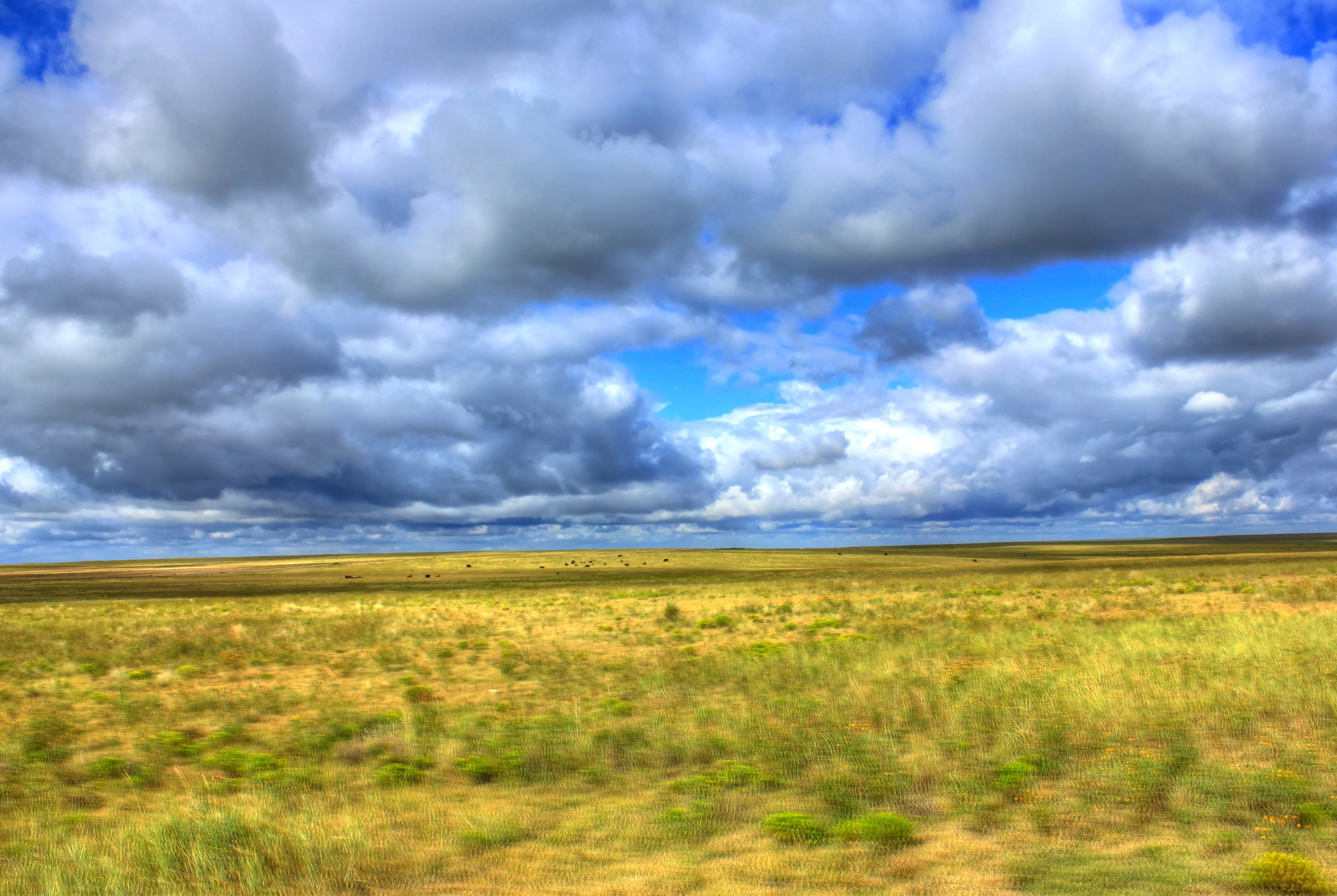 Exploring the Great Plains in Kansas