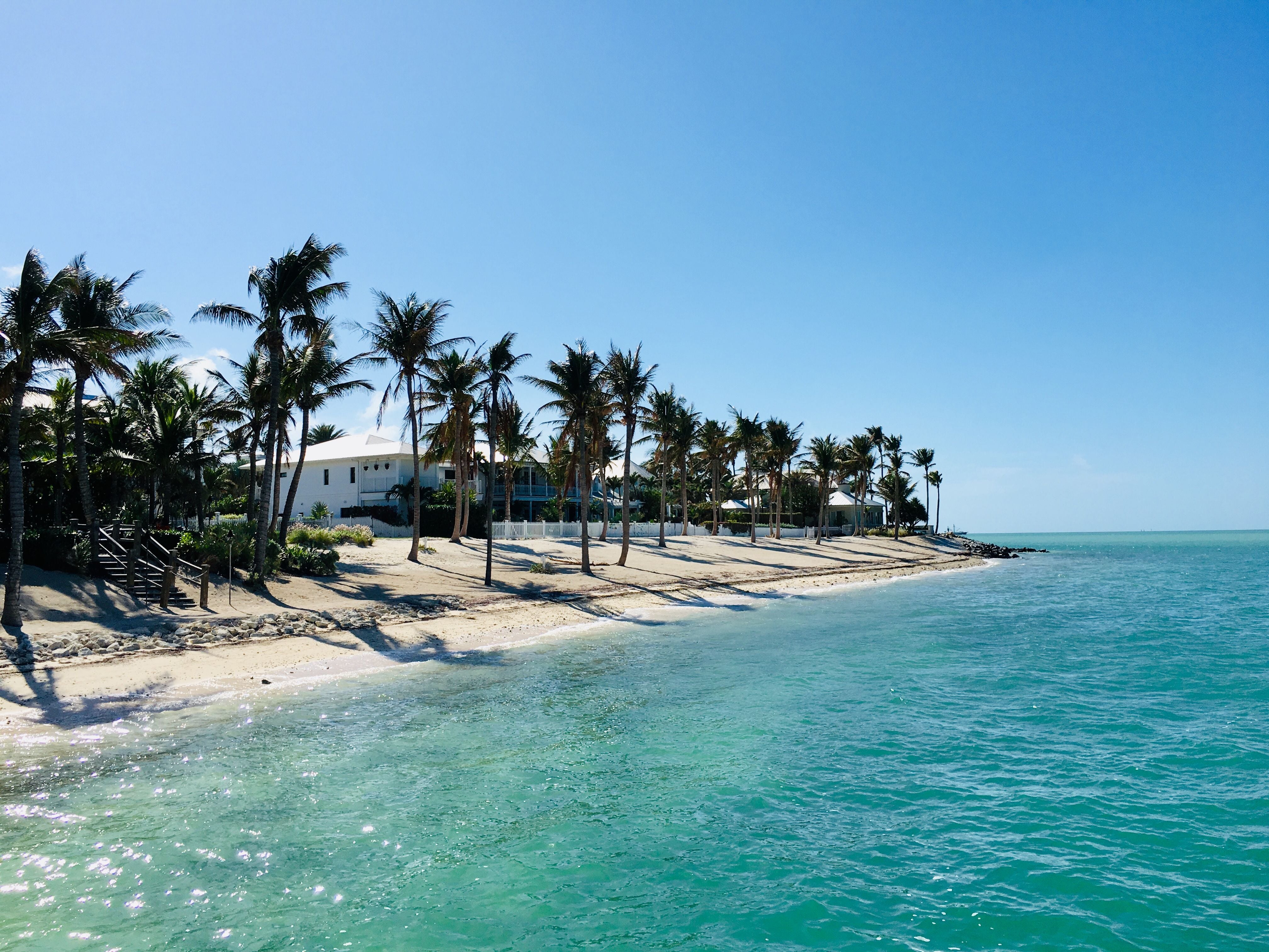 Best Time to Visit Key West