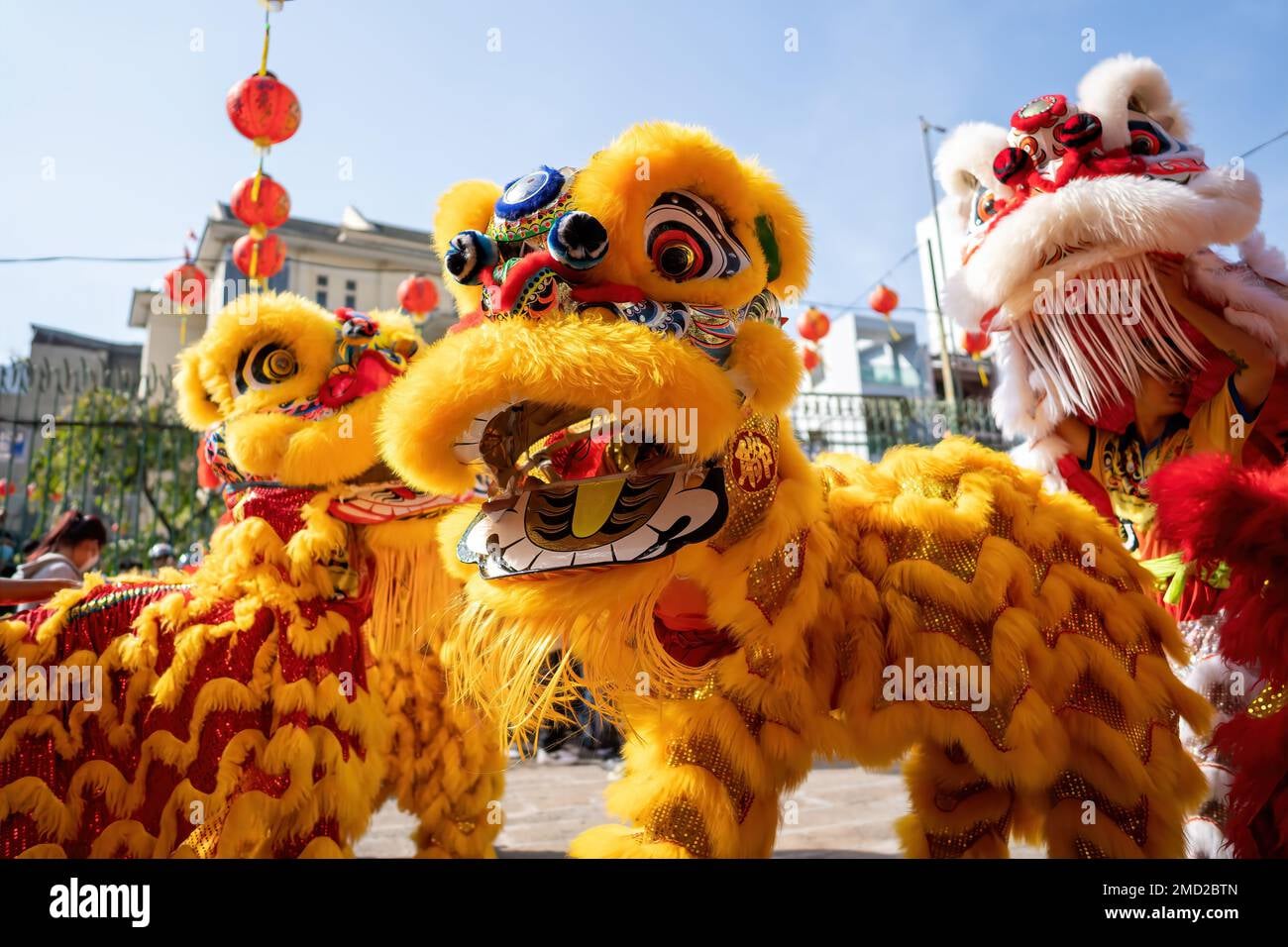 Lion and Dragon Dances