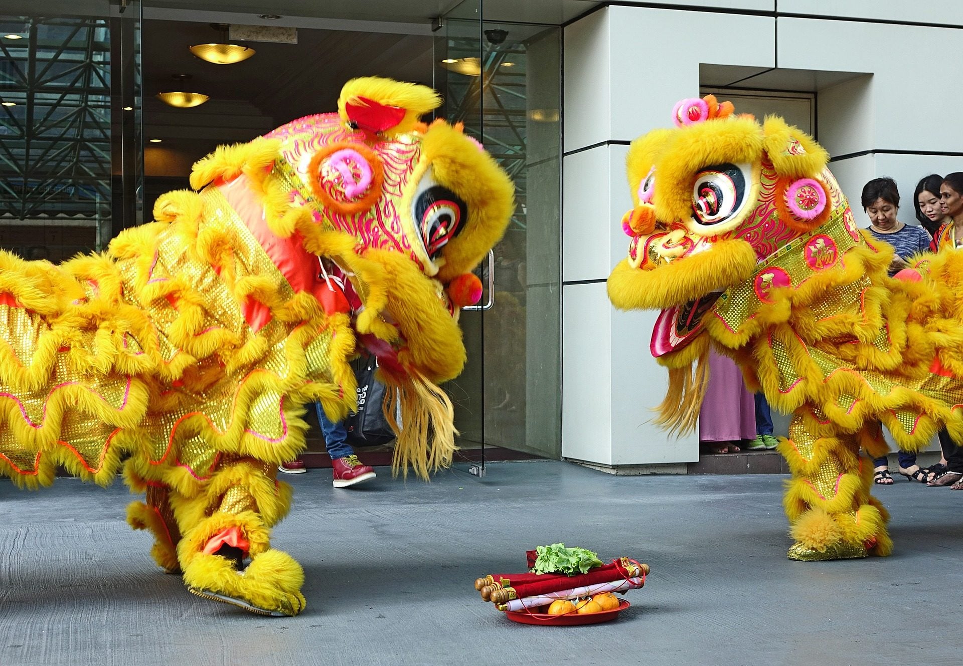 Lion or Dragon Dances for Chinese New Year