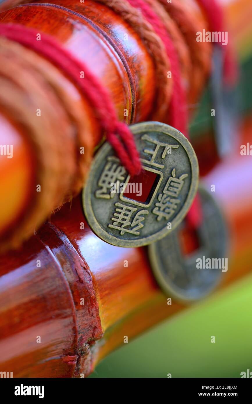 Lucky Bamboo and Chinese Coins