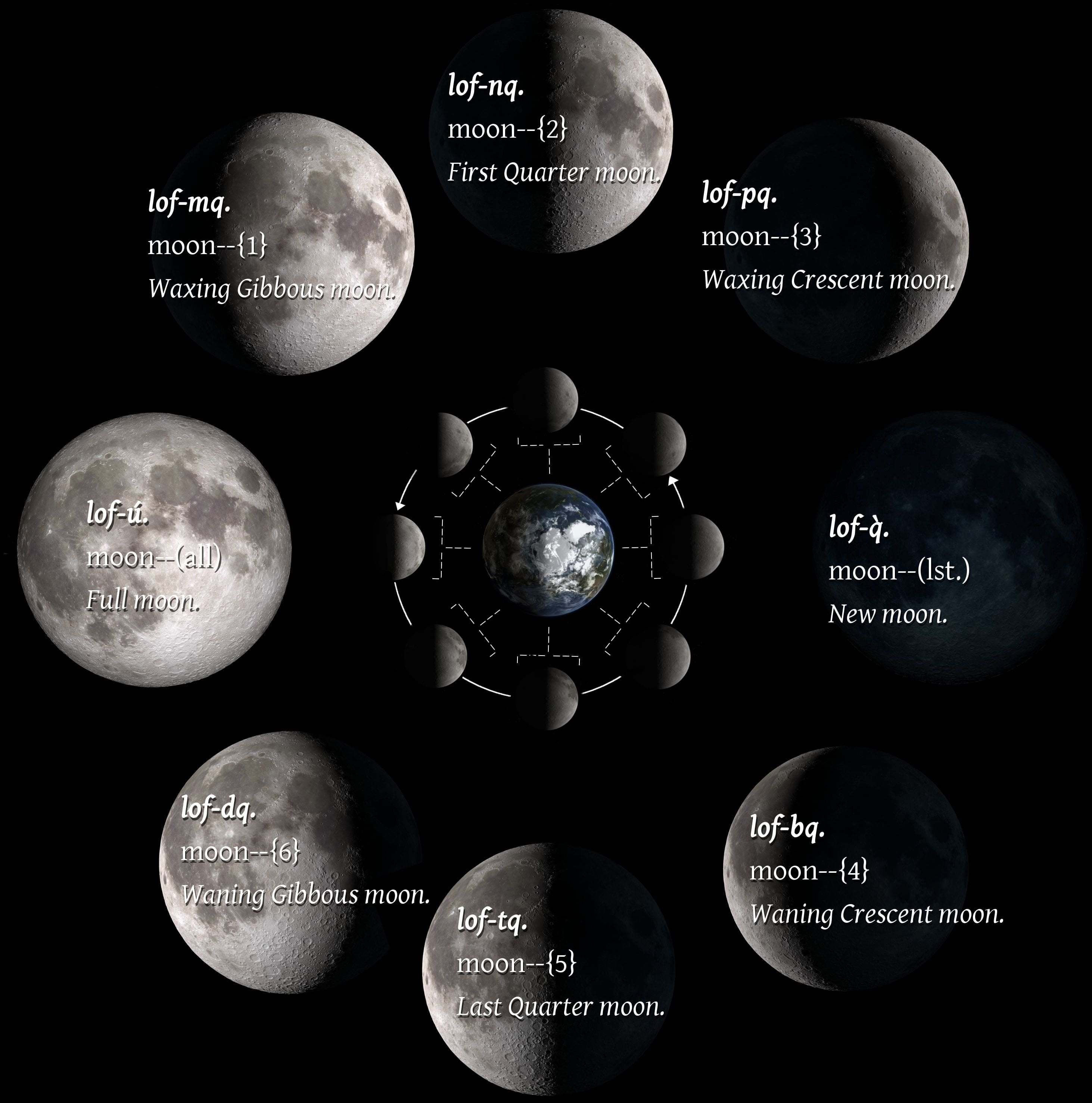 Understanding the Lunar Cycle