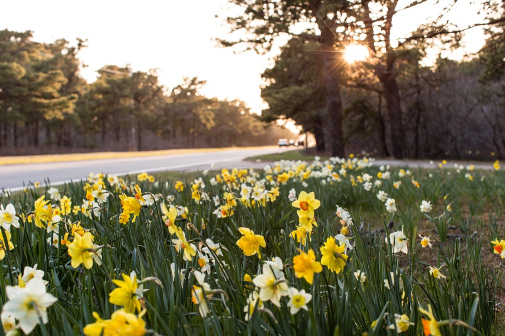 Nantucket Spring Events