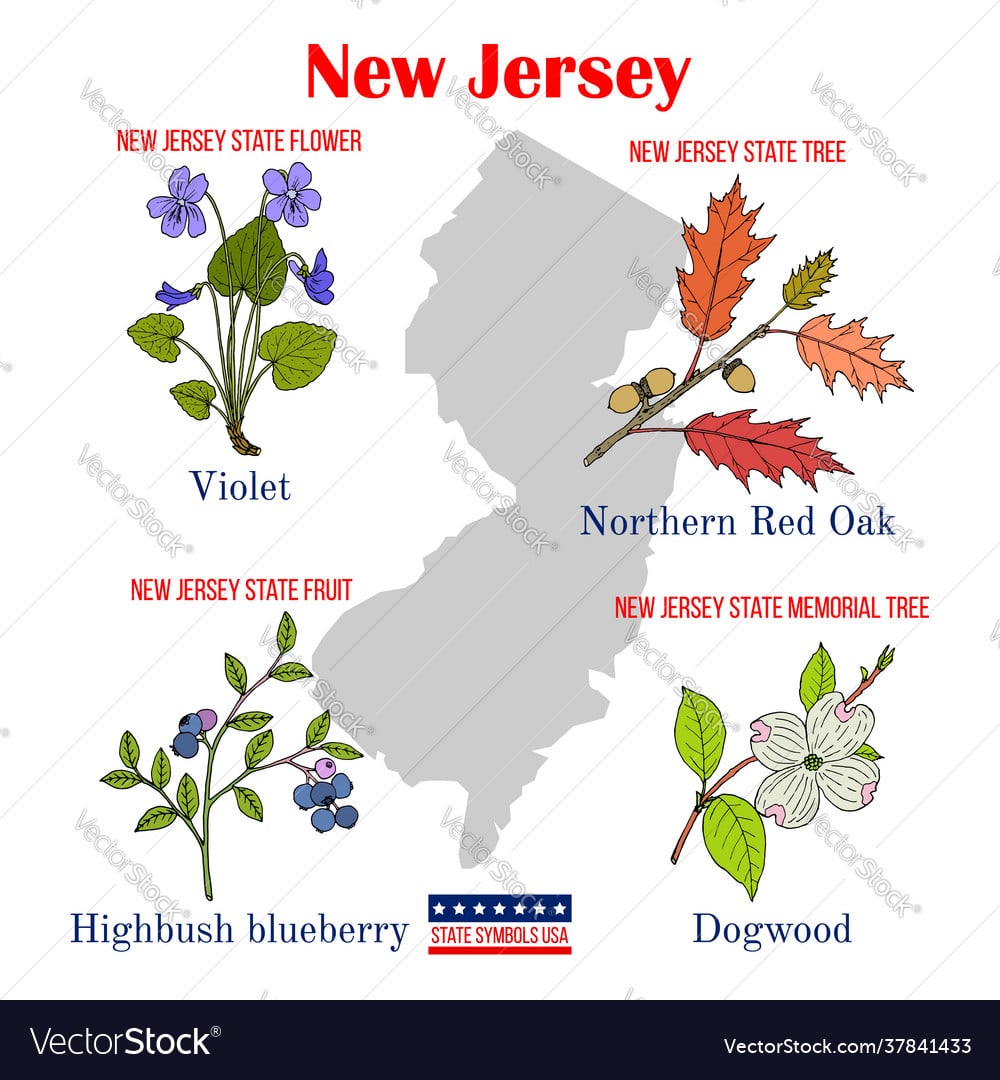 New Jersey State Symbols: Violet And Goldfinch Uncovered